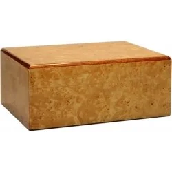Umidor Guy Janot Root Brilho 35
