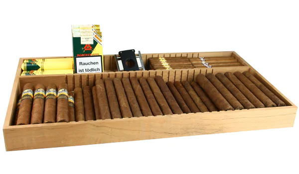 Tabuleiro para o armário do Humidor Adorini Roma, Salina foto 5