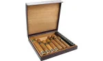 Humidor de viagem Bulldog da Dunhill 10 Roxo