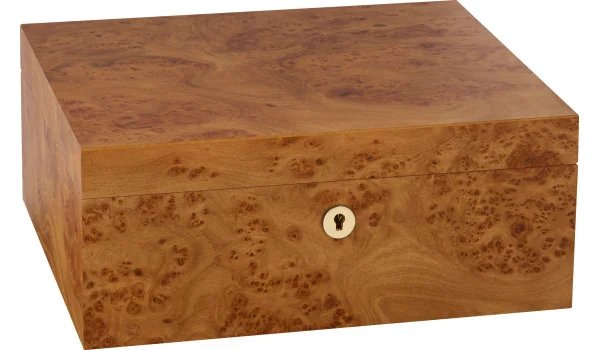 Humidor Adorini Catania Elm Burl Médio Deluxe