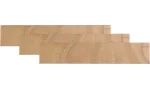 adorini Divider longo para Primo Deluxe Humidor, pacote com 3